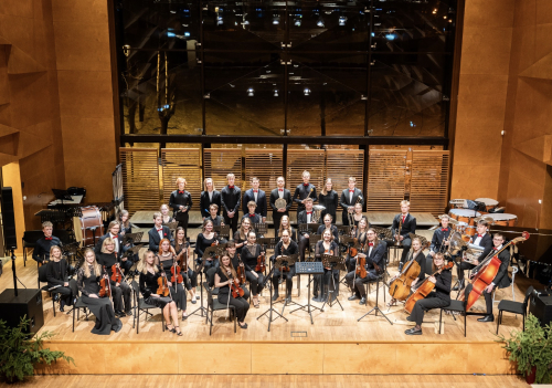 Nõmme Muusikakooli Sümfooniaorkester